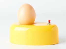 Presvetlovačka vajec na sliepky, prepelice, bažanty, kačice, husi PUISOR EC-01B